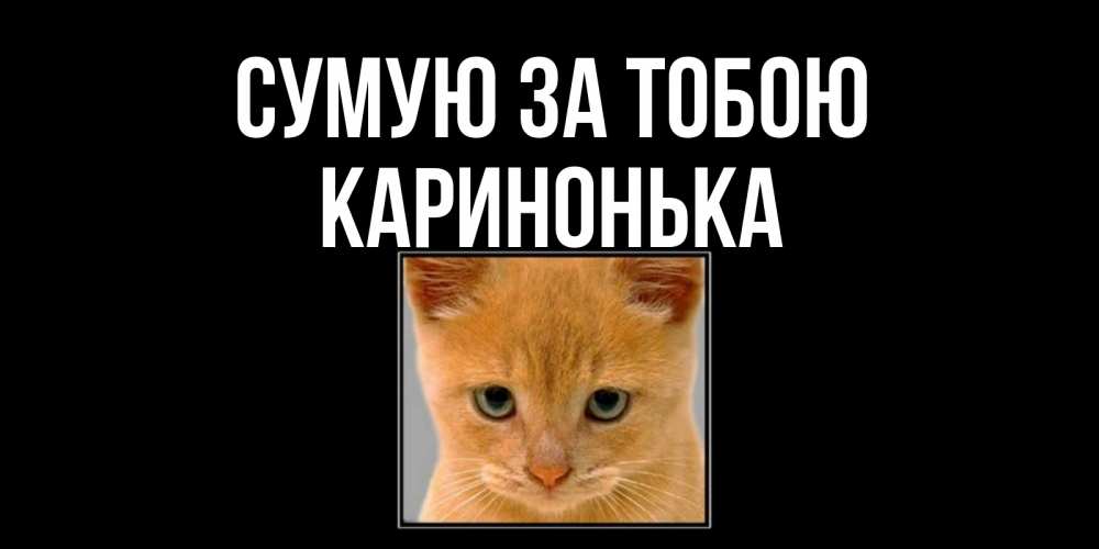 Открытка на каждый день з підписом, Каринонька Сумую за тобою открытки рыжий котенок скучает по тебе Прикольна листівка з побажанням онлайн скачати безкоштовно 