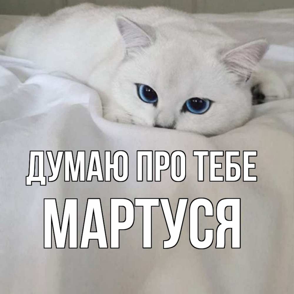 Открытка на каждый день з підписом, Мартуся Думаю про тебе я очень по тебе скучаю и тоскую Прикольна листівка з побажанням онлайн скачати безкоштовно 