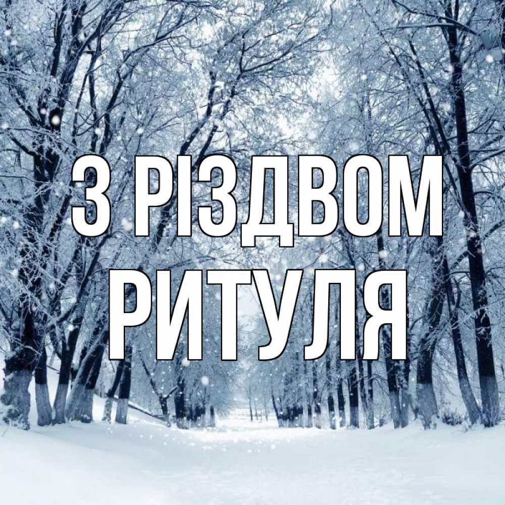 Открытка на каждый день з підписом, Ритуля З Різдвом снег, лес, парк Прикольна листівка з побажанням онлайн скачати безкоштовно 