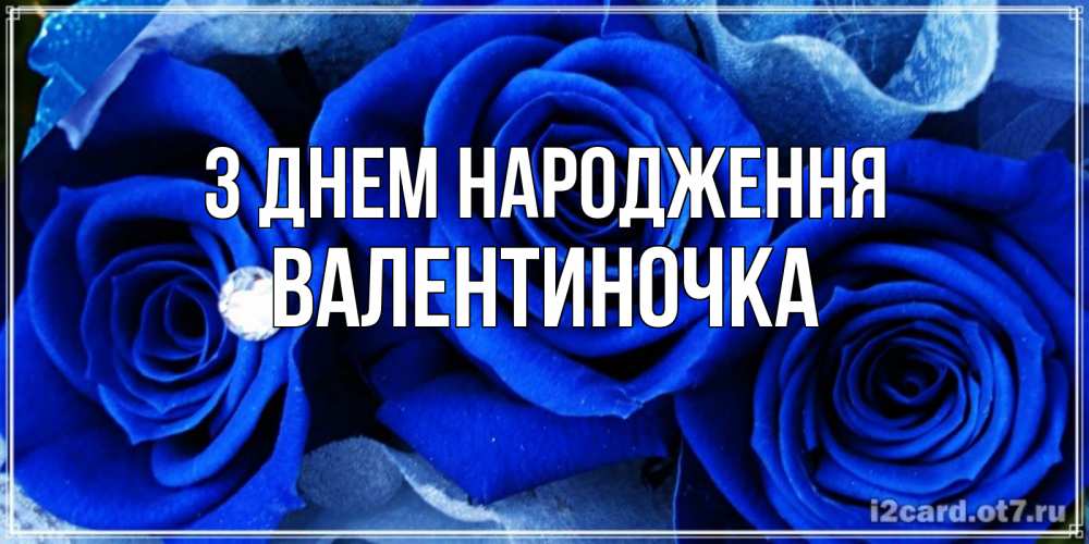 Открытка на каждый день з підписом, Валентиночка З Днем народження синие розы в росе Прикольна листівка з побажанням онлайн скачати безкоштовно 