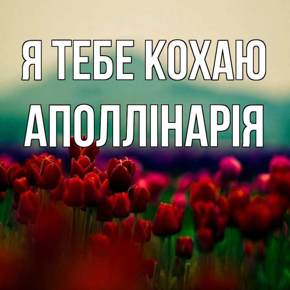 Открытка на каждый день з підписом, Аполлінарія Я тебе кохаю тюльпаны 4 Прикольна листівка з побажанням онлайн скачати безкоштовно 