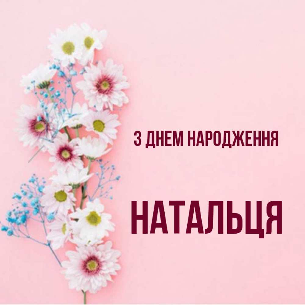 Открытка на каждый день з підписом, Натальця З Днем народження Родная моя с днем рождения тебя картинка с цветами белыми и голубыми Прикольна листівка з побажанням онлайн скачати безкоштовно 