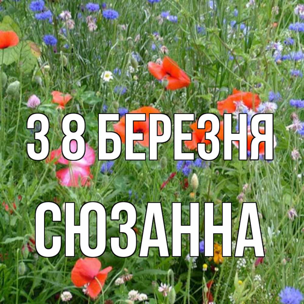 Открытка на каждый день з підписом, Сюзанна З 8 БЕРЕЗНЯ международный женский день 4 Прикольна листівка з побажанням онлайн скачати безкоштовно 