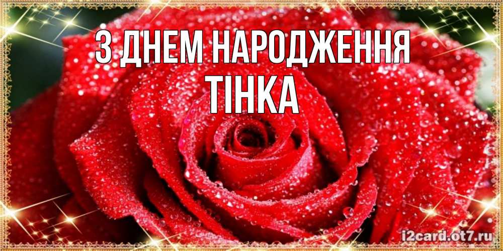 Открытка на каждый день з підписом, Тінка З Днем народження роса и роза. открытка с красивой розой Прикольна листівка з побажанням онлайн скачати безкоштовно 