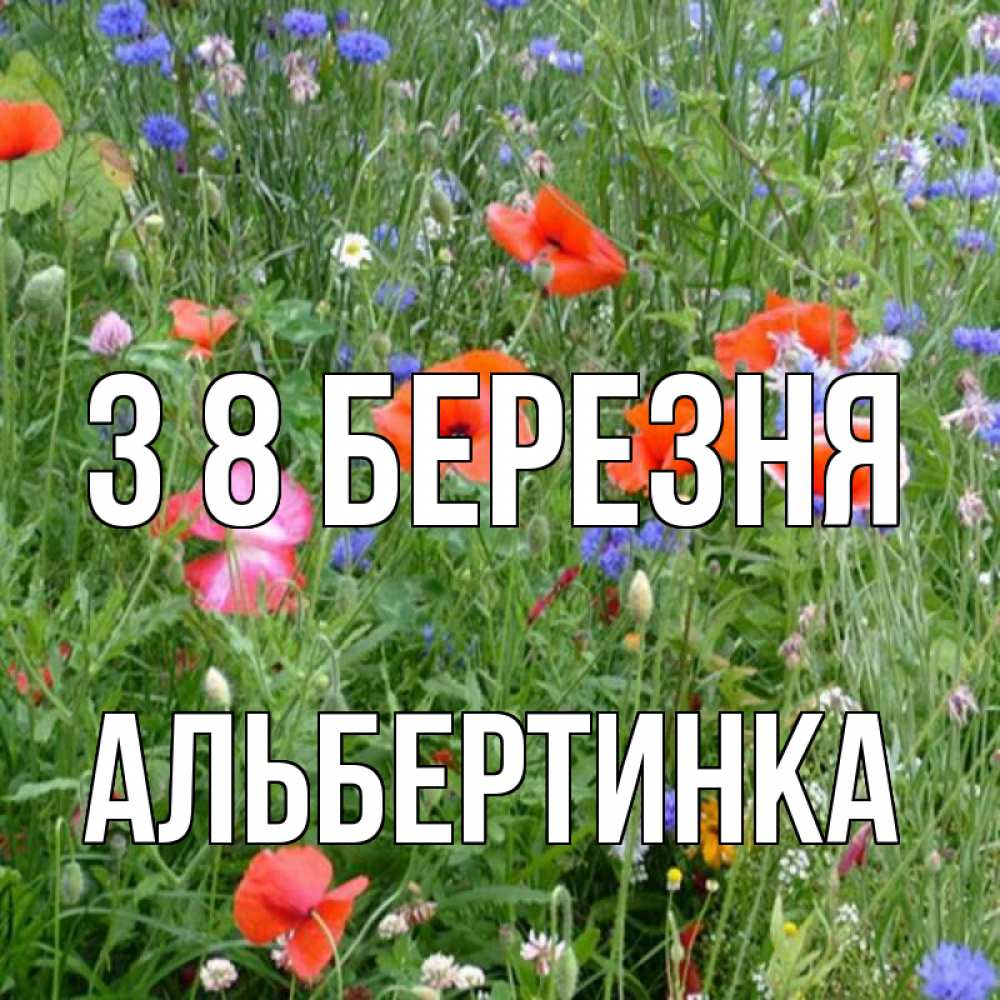 Открытка на каждый день з підписом, Альбертинка З 8 БЕРЕЗНЯ международный женский день 4 Прикольна листівка з побажанням онлайн скачати безкоштовно 