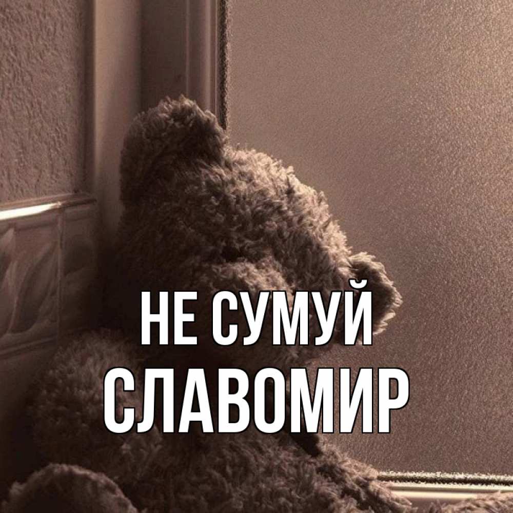 Открытка на каждый день з підписом, Славомир Не сумуй стекол рефленое Прикольна листівка з побажанням онлайн скачати безкоштовно 