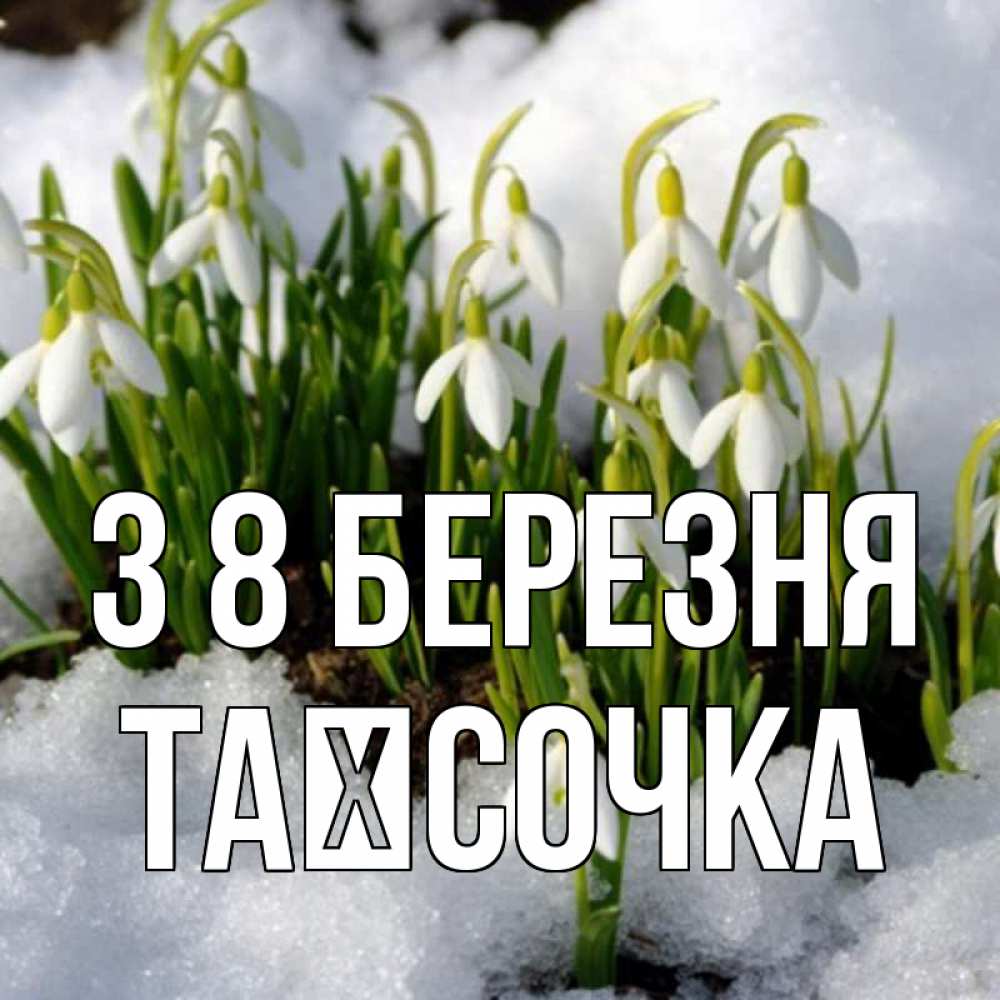 Открытка на каждый день з підписом, Таїсочка З 8 БЕРЕЗНЯ цветы весенние Прикольна листівка з побажанням онлайн скачати безкоштовно 