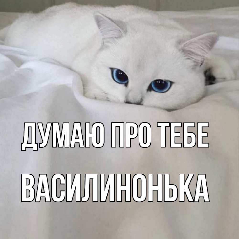 Открытка на каждый день з підписом, Василинонька Думаю про тебе я очень по тебе скучаю и тоскую Прикольна листівка з побажанням онлайн скачати безкоштовно 