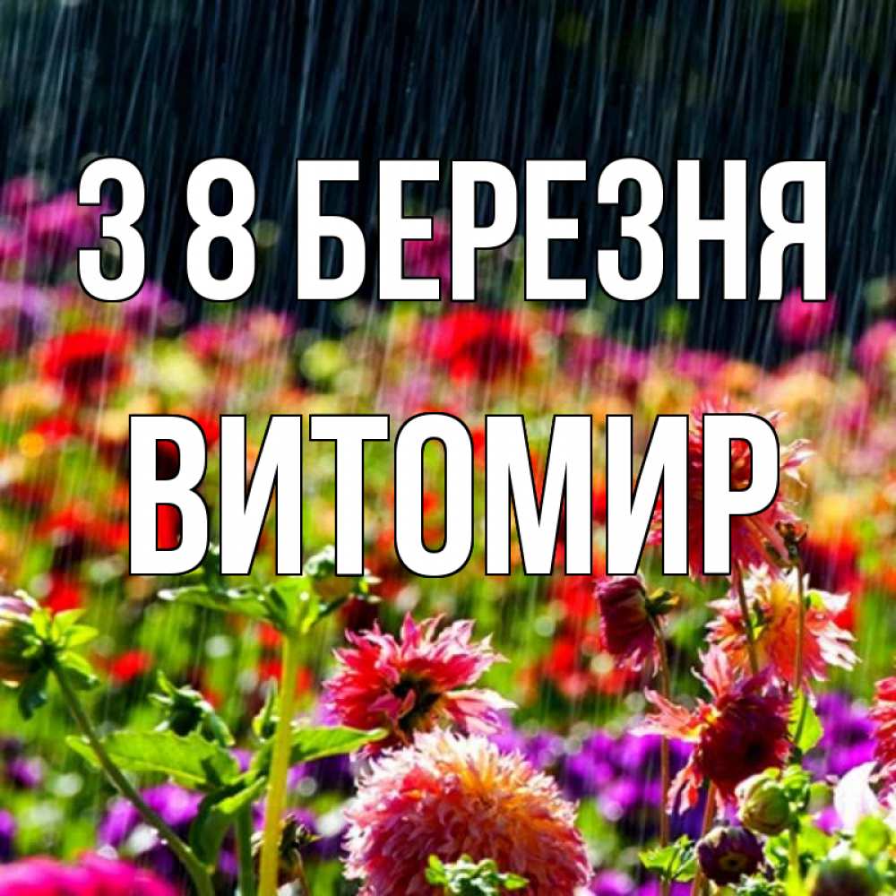 Открытка на каждый день з підписом, Витомир З 8 БЕРЕЗНЯ цветы под дождиком к международному женскому дню Прикольна листівка з побажанням онлайн скачати безкоштовно 
