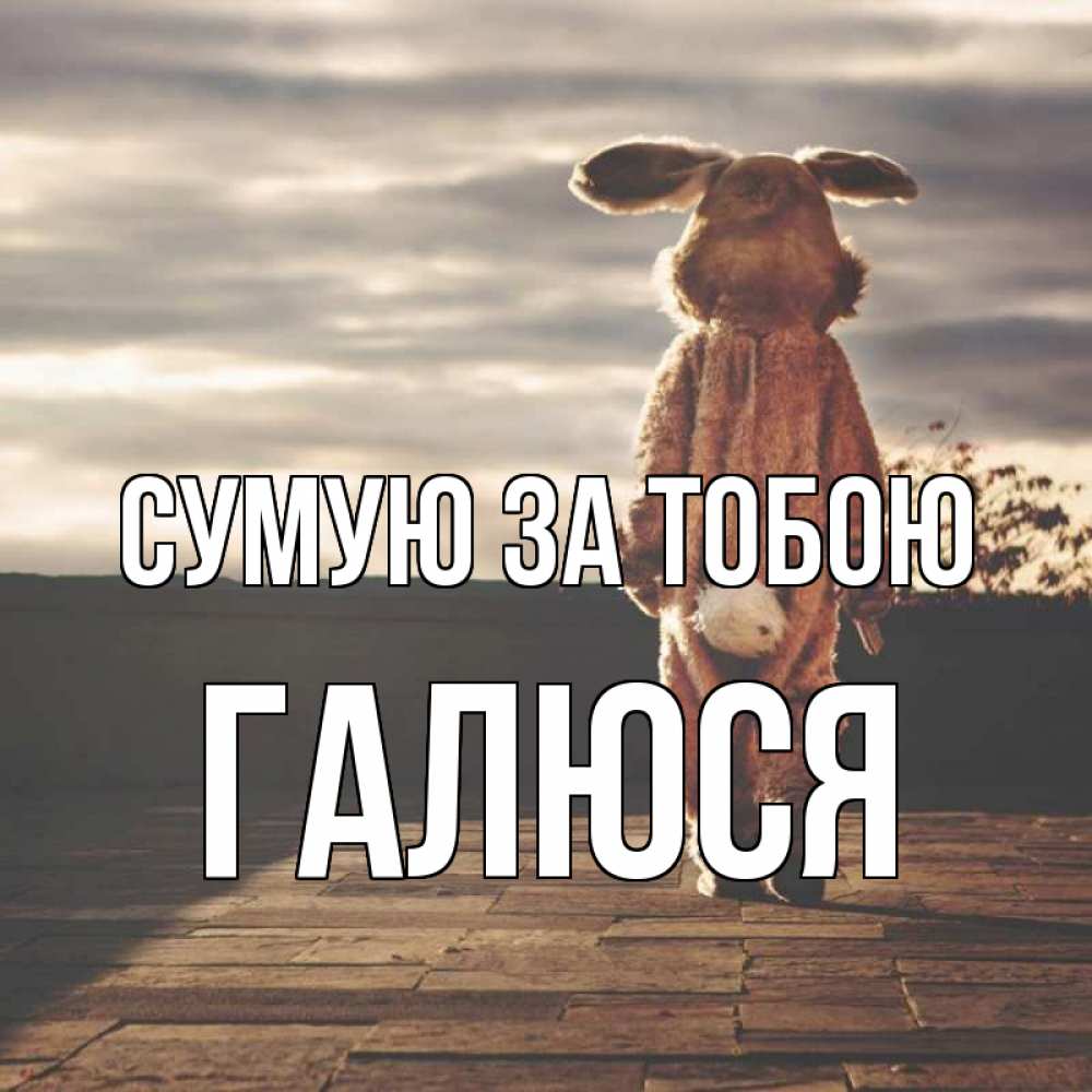 Открытка на каждый день з підписом, Галюся Сумую за тобою даже в костюме зайца Прикольна листівка з побажанням онлайн скачати безкоштовно 