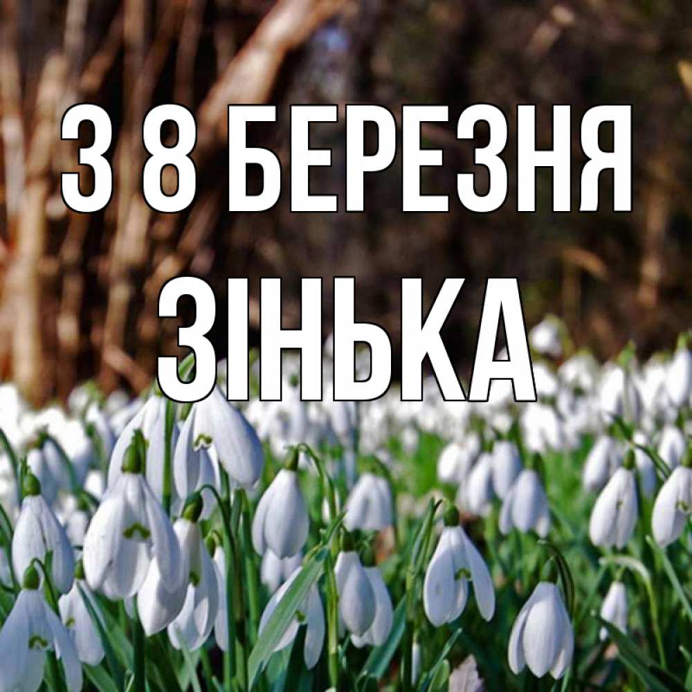 Открытка на каждый день з підписом, Зінька З 8 БЕРЕЗНЯ с подснежниками 1 Прикольна листівка з побажанням онлайн скачати безкоштовно 