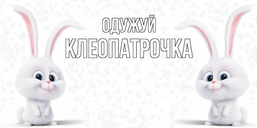 Открытка на каждый день з підписом, Клеопатрочка Одужуй не болей с зайцем Прикольна листівка з побажанням онлайн скачати безкоштовно 