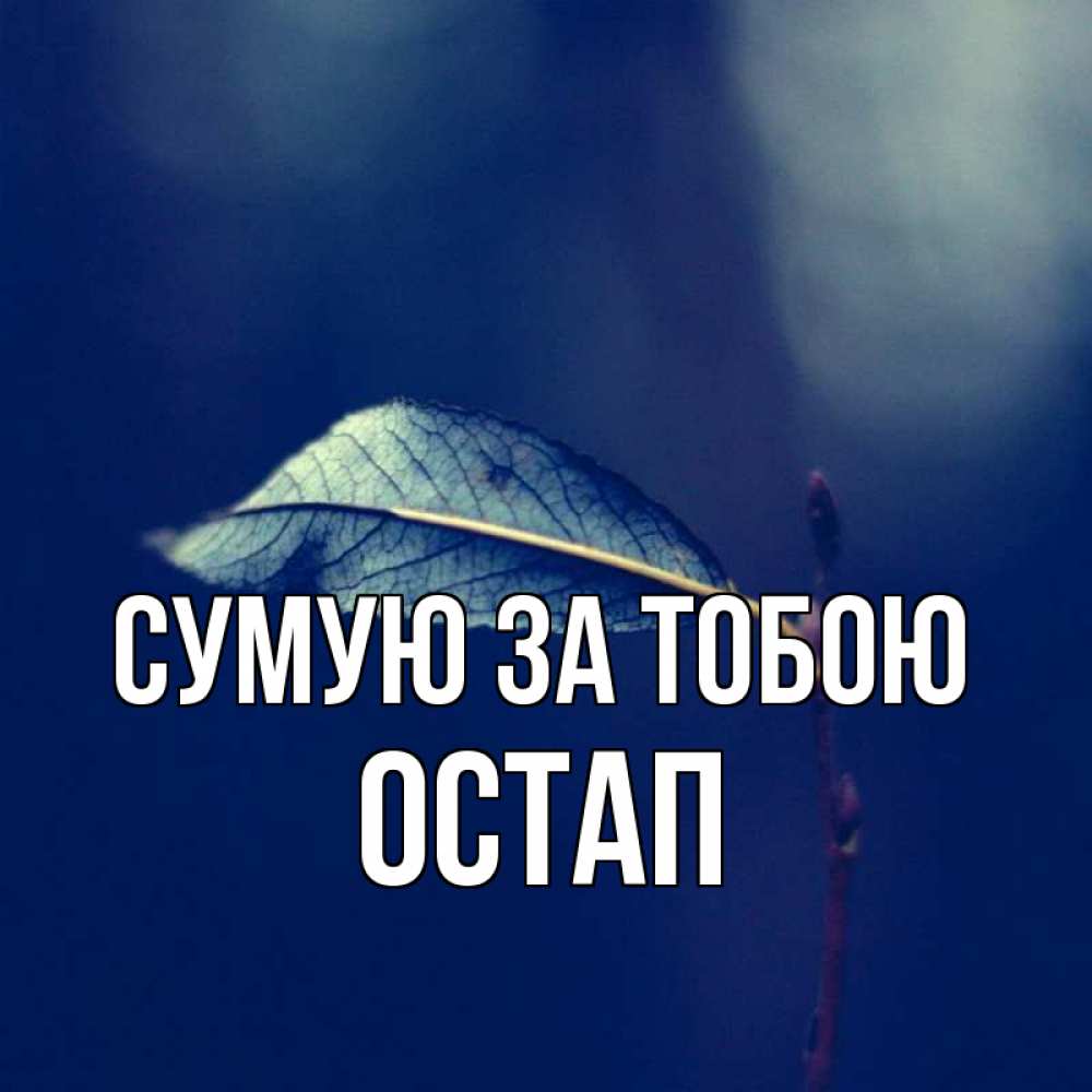 Открытка на каждый день з підписом, Остап Сумую за тобою одна ветка 1 Прикольна листівка з побажанням онлайн скачати безкоштовно 