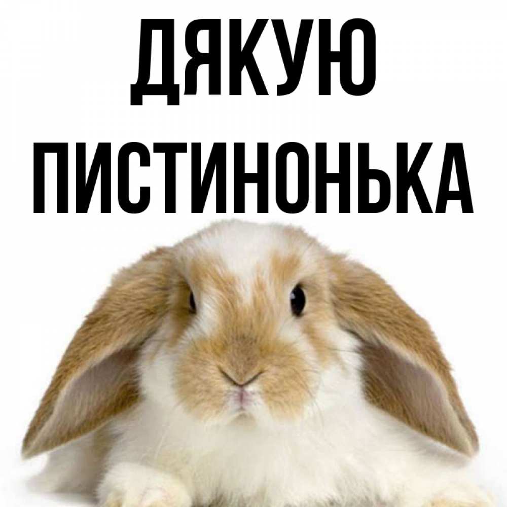 Открытка на каждый день з підписом, Пистинонька Дякую коричнево белый заяц Прикольна листівка з побажанням онлайн скачати безкоштовно 