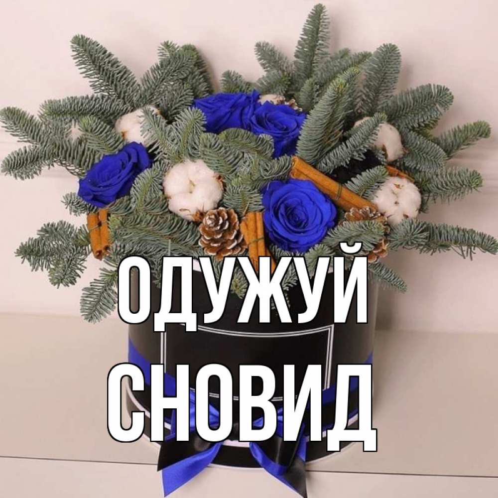 Открытка на каждый день з підписом, Сновид Одужуй короче кто то загрузил эти шишки Прикольна листівка з побажанням онлайн скачати безкоштовно 