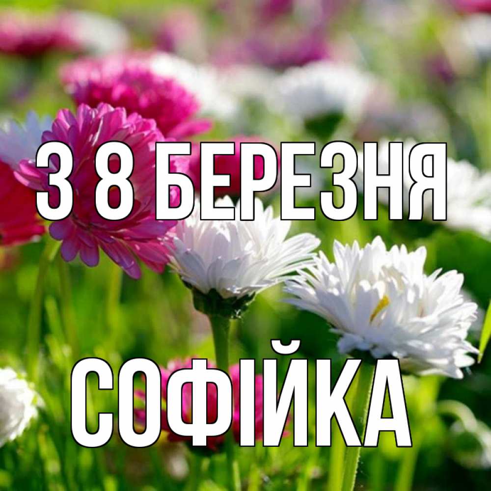 Открытка на каждый день з підписом, Софійка З 8 БЕРЕЗНЯ международный женский день 1 Прикольна листівка з побажанням онлайн скачати безкоштовно 