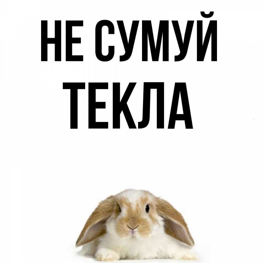 Открытка на каждый день з підписом, Текла Не сумуй коричнево белый заяц с большими ушками Прикольна листівка з побажанням онлайн скачати безкоштовно 