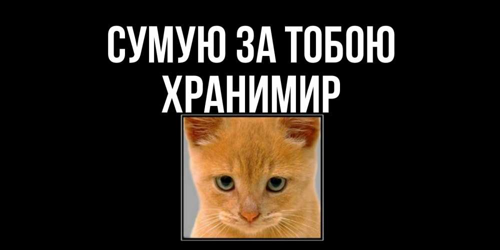 Открытка на каждый день з підписом, Хранимир Сумую за тобою открытки рыжий котенок скучает по тебе Прикольна листівка з побажанням онлайн скачати безкоштовно 