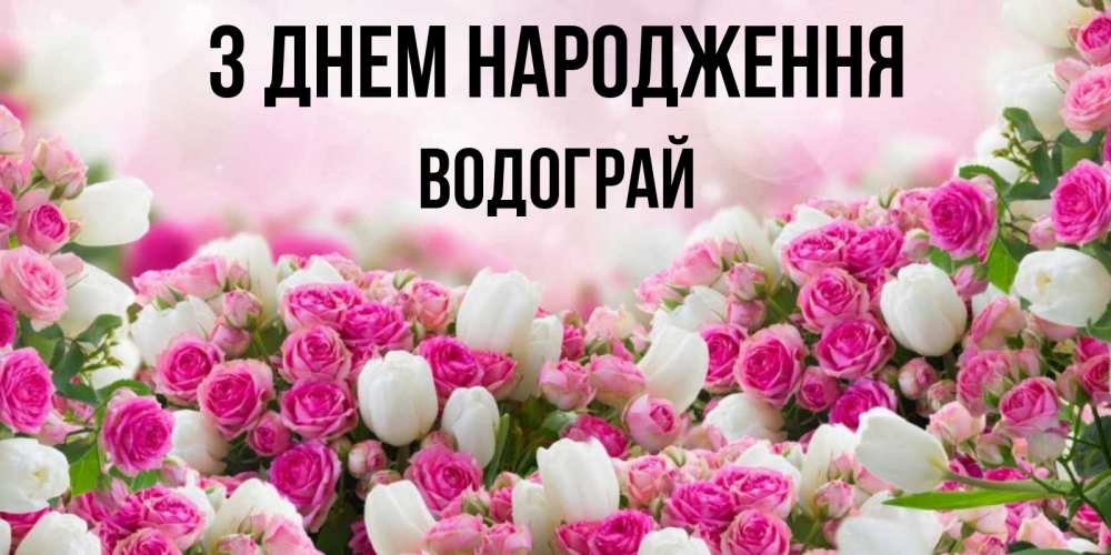 Открытка на каждый день з підписом, Водограй З Днем народження открытка с разными розами Прикольна листівка з побажанням онлайн скачати безкоштовно 