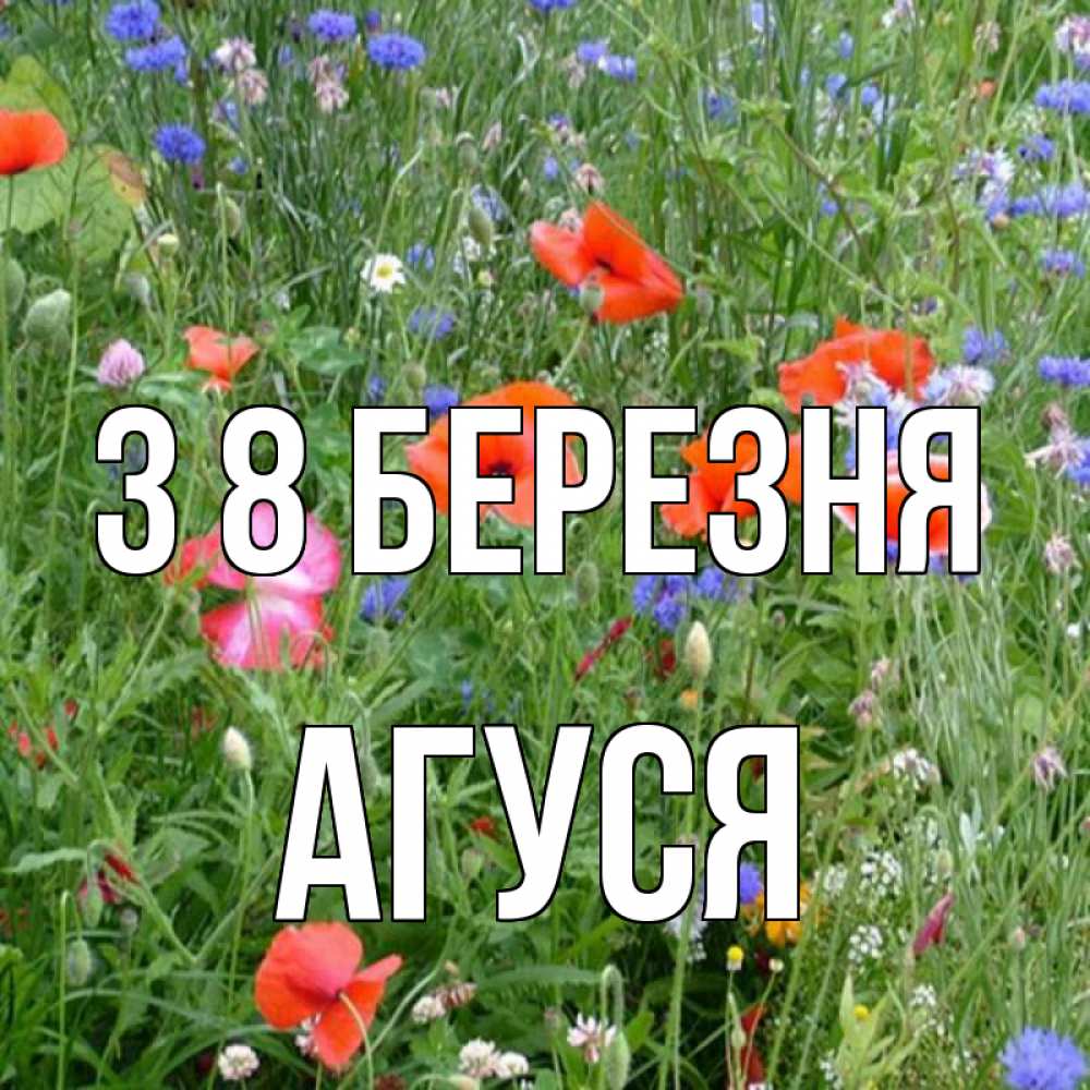 Открытка на каждый день з підписом, Агуся З 8 БЕРЕЗНЯ международный женский день 4 Прикольна листівка з побажанням онлайн скачати безкоштовно 