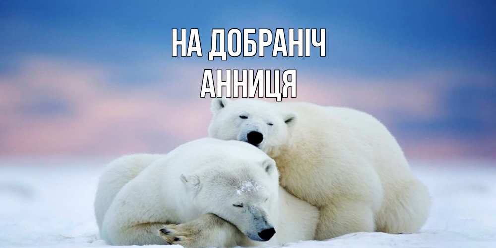 Открытка на каждый день з підписом, Анниця На добраніч белые медведи спят в обнимку Прикольна листівка з побажанням онлайн скачати безкоштовно 