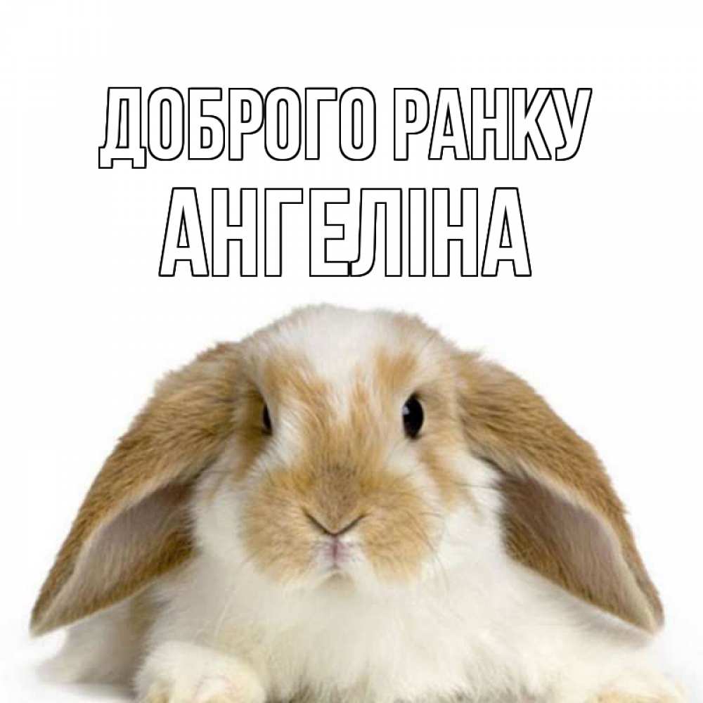 Открытка на каждый день з підписом, Ангеліна Доброго ранку прикольные открытки на каждый день Прикольна листівка з побажанням онлайн скачати безкоштовно 