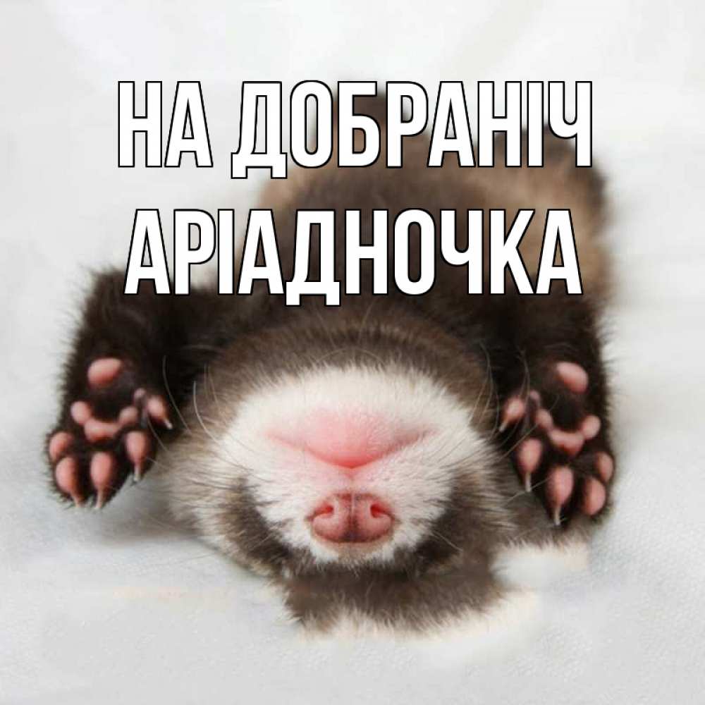 Открытка на каждый день з підписом, Аріадночка На добраніч зверек Прикольна листівка з побажанням онлайн скачати безкоштовно 