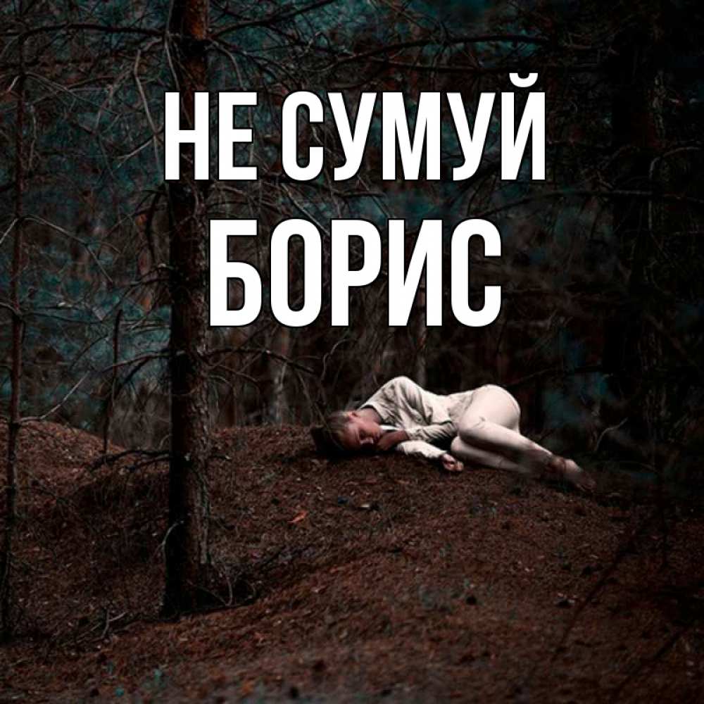 Открытка на каждый день з підписом, Борис Не сумуй лес Прикольна листівка з побажанням онлайн скачати безкоштовно 