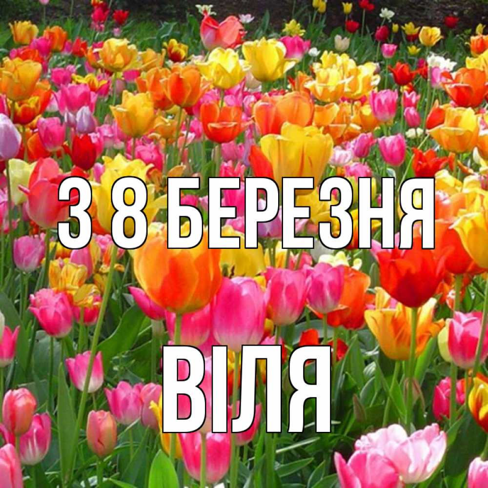 Открытка на каждый день з підписом, Віля З 8 БЕРЕЗНЯ на международный женский день Прикольна листівка з побажанням онлайн скачати безкоштовно 