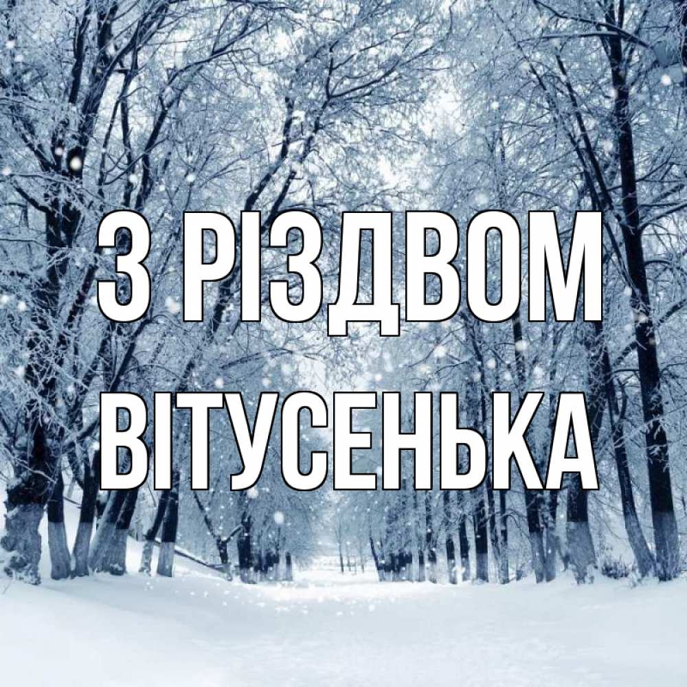 Открытка на каждый день з підписом, Вітусенька З Різдвом снег, лес, парк Прикольна листівка з побажанням онлайн скачати безкоштовно 
