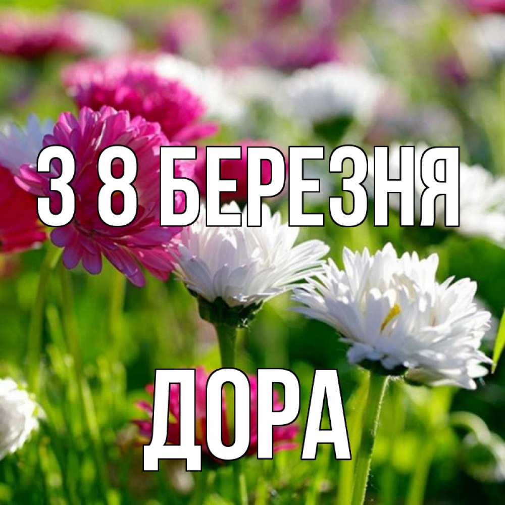 Открытка на каждый день з підписом, Дора З 8 БЕРЕЗНЯ международный женский день 1 Прикольна листівка з побажанням онлайн скачати безкоштовно 