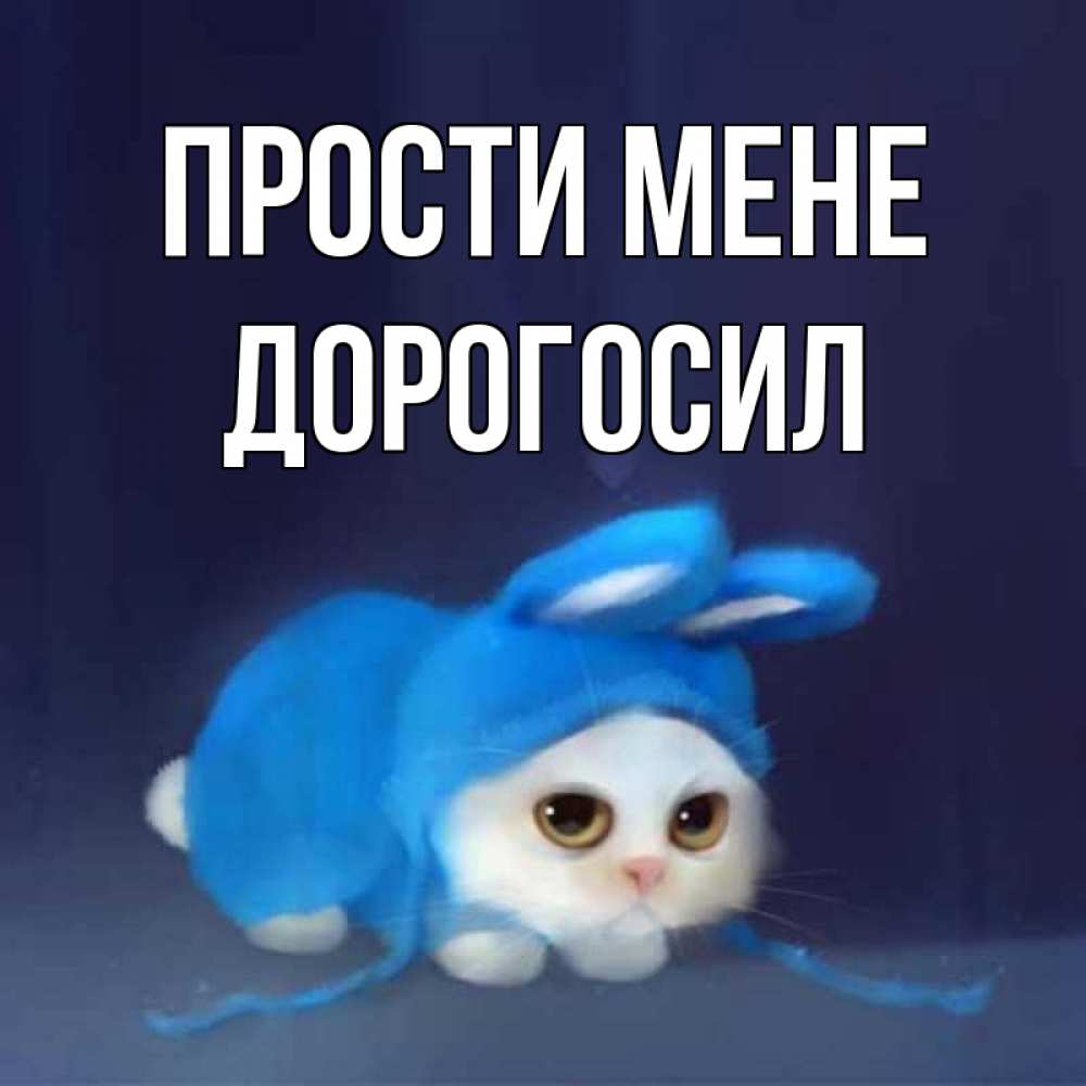 Открытка на каждый день з підписом, Дорогосил Прости мене невинный котозай просит прощения Прикольна листівка з побажанням онлайн скачати безкоштовно 