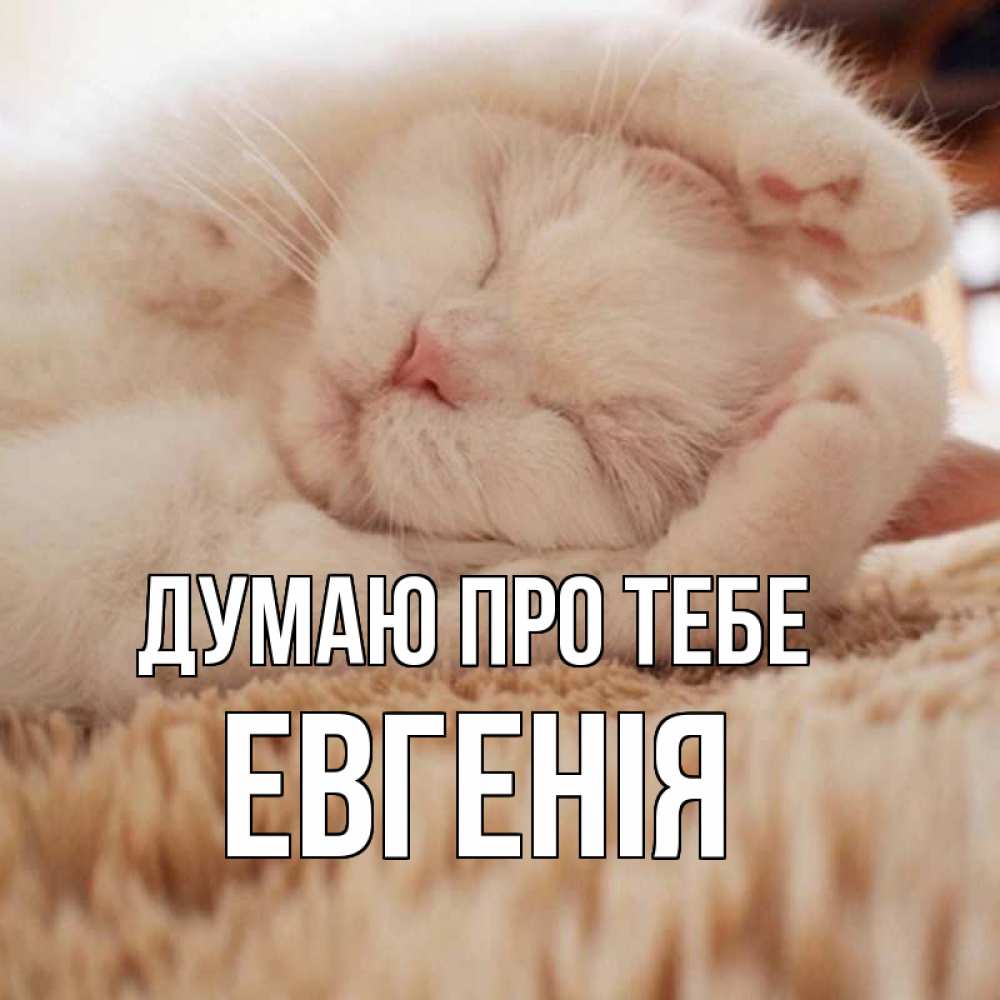 Открытка на каждый день з підписом, Евгенія Думаю про тебе для любимой девушки милота Прикольна листівка з побажанням онлайн скачати безкоштовно 
