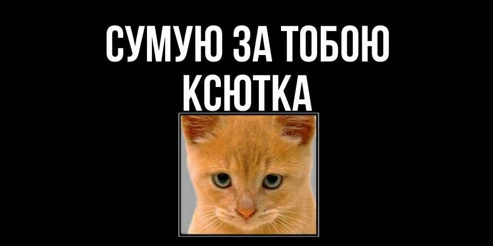 Открытка на каждый день з підписом, Ксютка Сумую за тобою открытки рыжий котенок скучает по тебе Прикольна листівка з побажанням онлайн скачати безкоштовно 