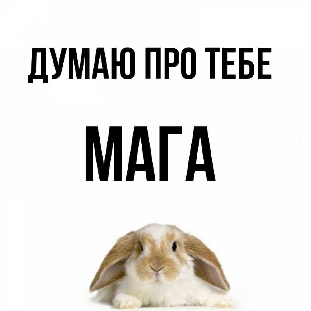 Открытка на каждый день з підписом, Мага Думаю про тебе подписать своими руками онлайн Прикольна листівка з побажанням онлайн скачати безкоштовно 