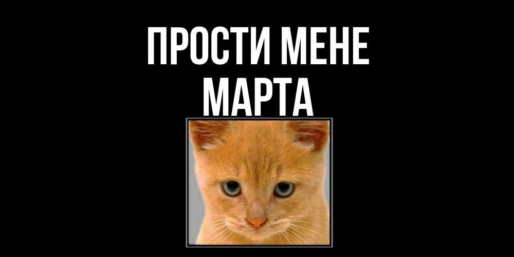 Открытка на каждый день з підписом, Марта Прости мене рыжий грустный кот просит прощения Прикольна листівка з побажанням онлайн скачати безкоштовно 