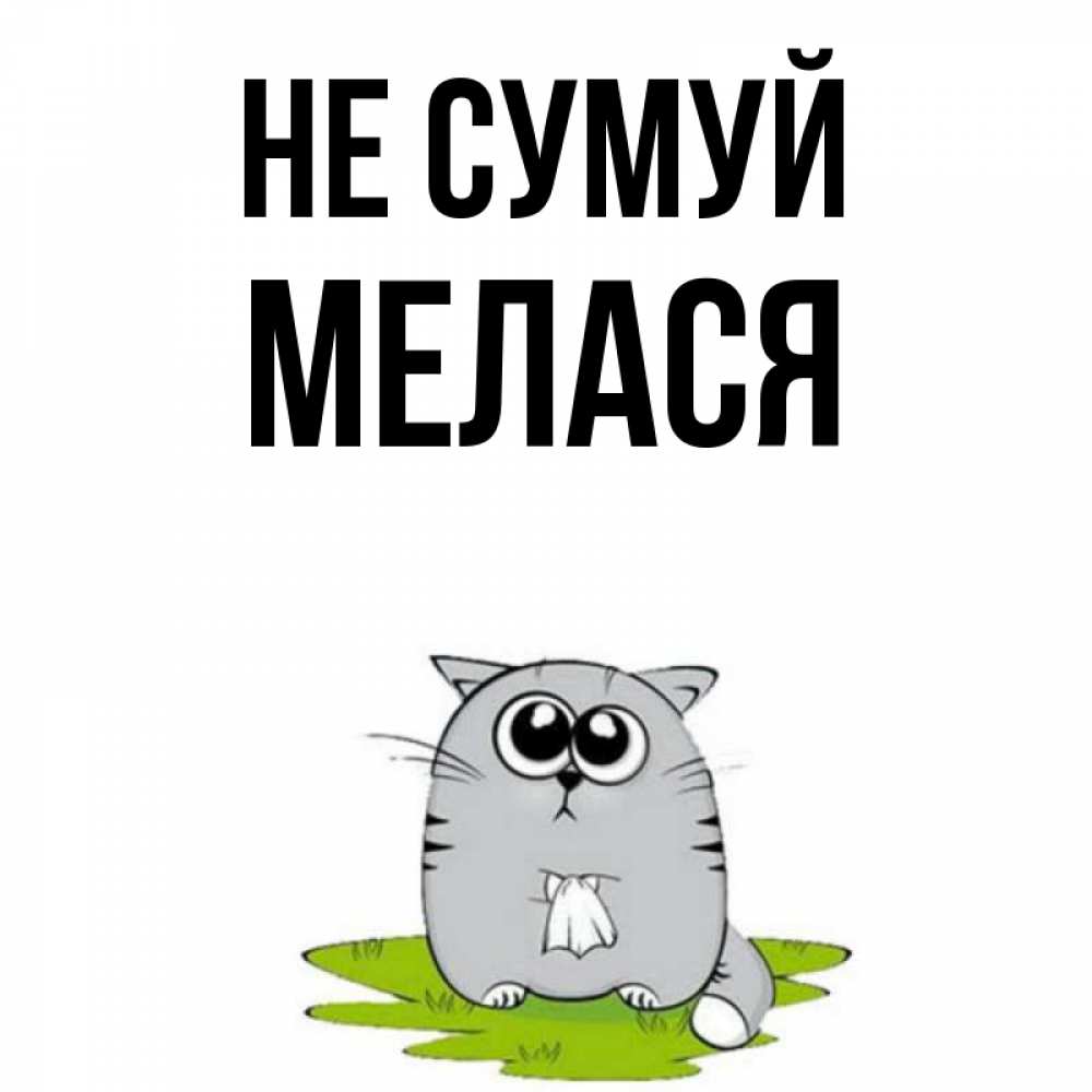 Открытка на каждый день з підписом, Мелася Не сумуй грустный котяра Прикольна листівка з побажанням онлайн скачати безкоштовно 