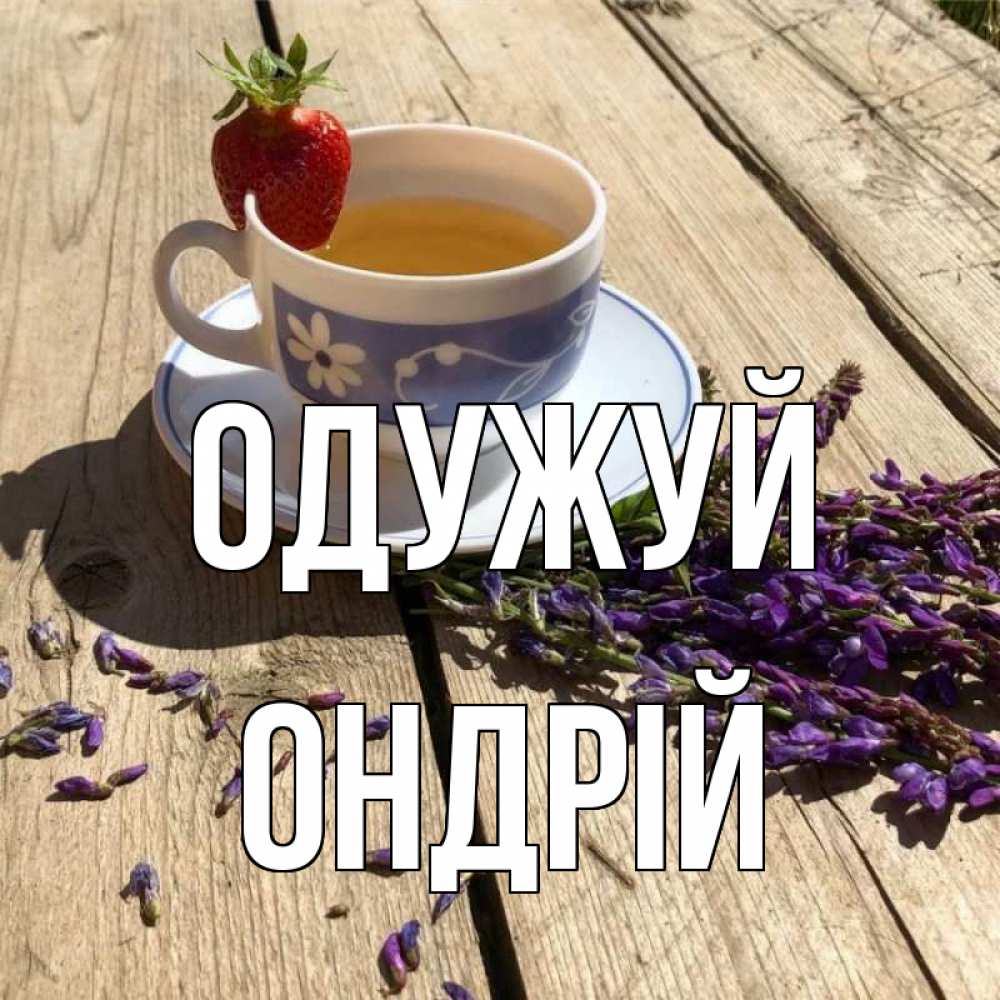 Открытка на каждый день з підписом, Ондрій Одужуй чай Прикольна листівка з побажанням онлайн скачати безкоштовно 