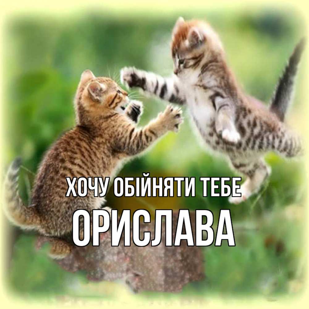 Открытка на каждый день з підписом, Орислава Хочу обійняти тебе игры котят Прикольна листівка з побажанням онлайн скачати безкоштовно 