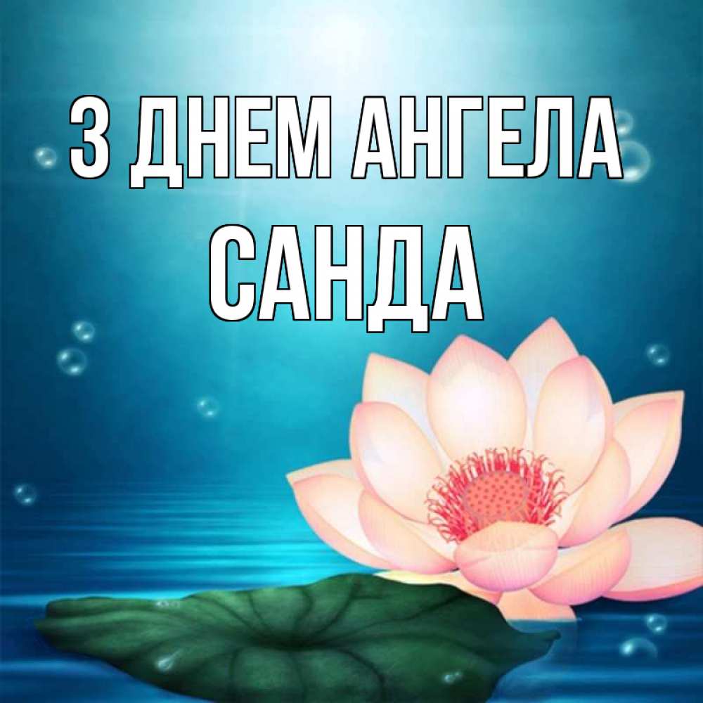 Открытка на каждый день з підписом, Санда З Днем ангела кувшинка Прикольна листівка з побажанням онлайн скачати безкоштовно 