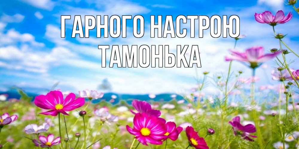 Открытка на каждый день з підписом, Тамонька Гарного настрою поле цветов Прикольна листівка з побажанням онлайн скачати безкоштовно 