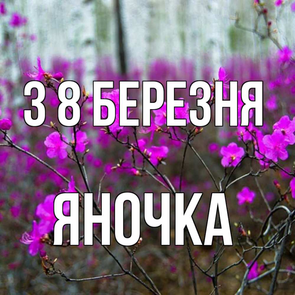 Открытка на каждый день з підписом, Яночка З 8 БЕРЕЗНЯ дикие цветы Прикольна листівка з побажанням онлайн скачати безкоштовно 