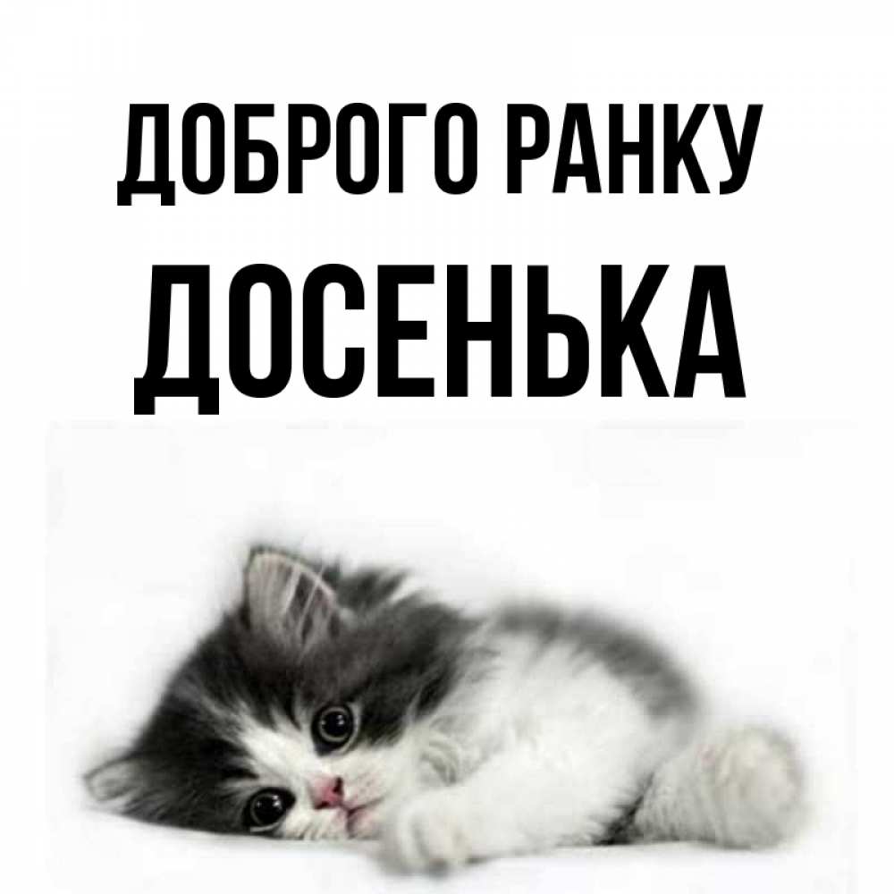 Открытка на каждый день з підписом, Досенька Доброго ранку кот лапки Прикольна листівка з побажанням онлайн скачати безкоштовно 