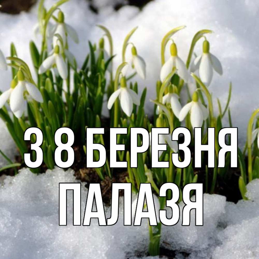 Открытка на каждый день з підписом, Палазя З 8 БЕРЕЗНЯ цветы весенние Прикольна листівка з побажанням онлайн скачати безкоштовно 