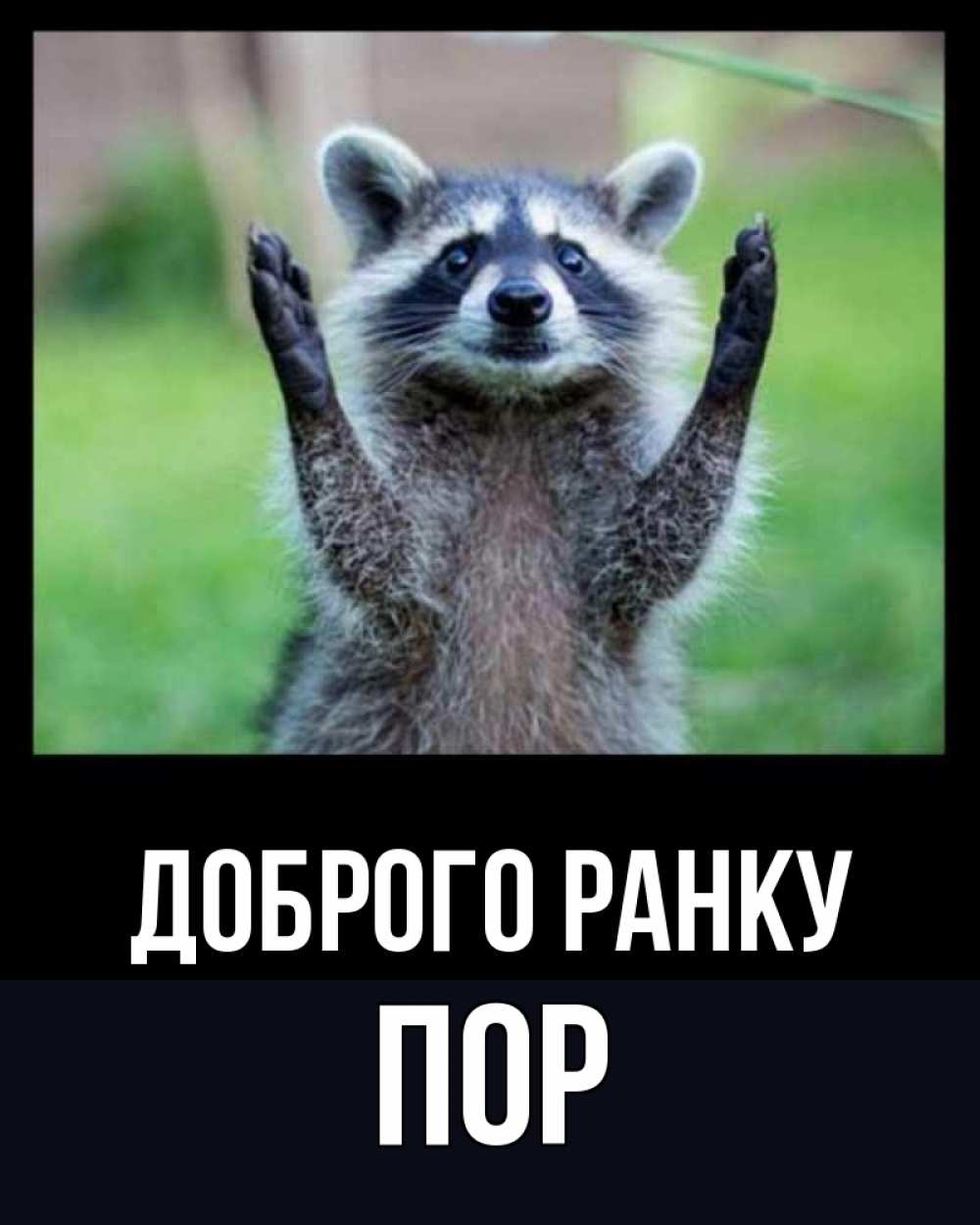 Открытка на каждый день з підписом, Пор Доброго ранку хорошее настроение утречком Прикольна листівка з побажанням онлайн скачати безкоштовно 