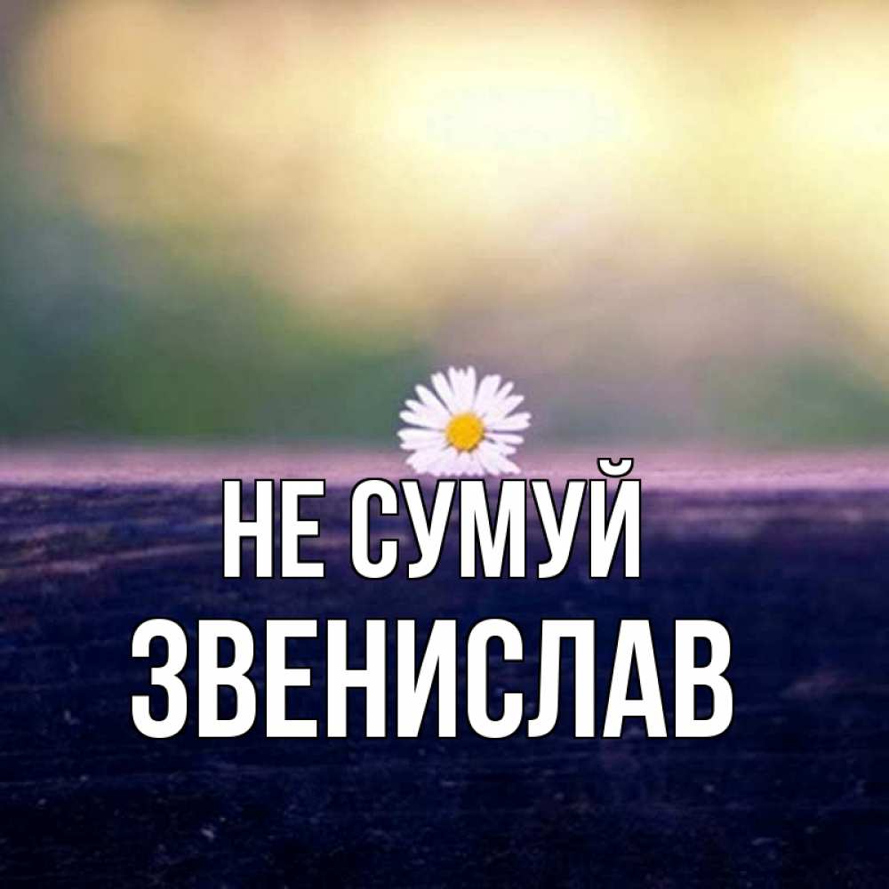 Открытка на каждый день з підписом, Звенислав Не сумуй красота Прикольна листівка з побажанням онлайн скачати безкоштовно 