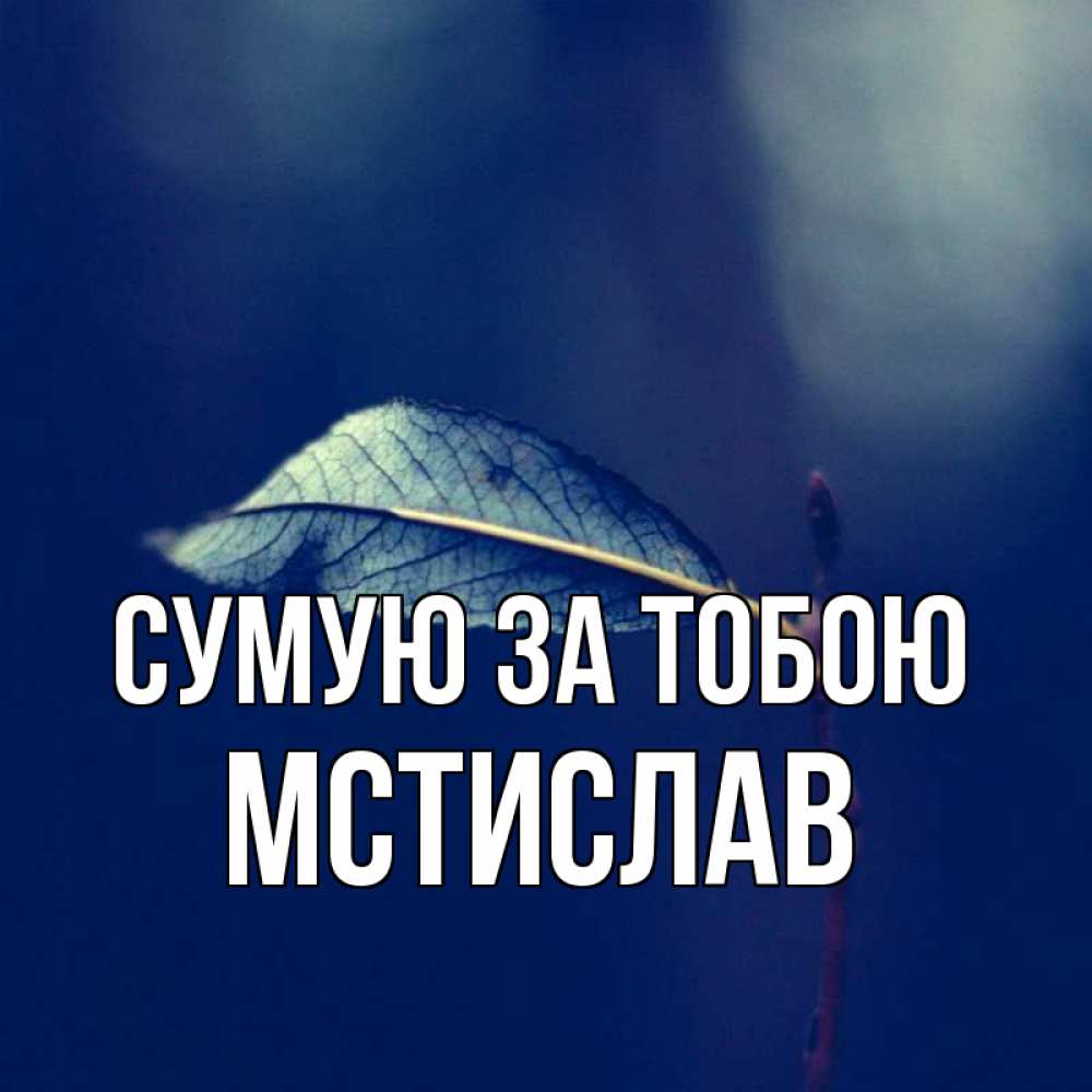 Открытка на каждый день з підписом, Мстислав Сумую за тобою одна ветка 1 Прикольна листівка з побажанням онлайн скачати безкоштовно 