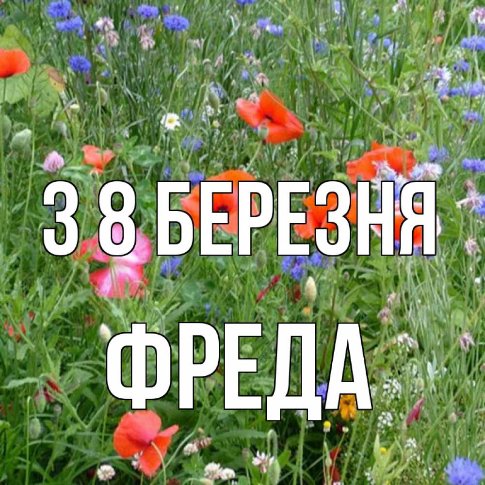 Открытка на каждый день з підписом, Фреда З 8 БЕРЕЗНЯ международный женский день 4 Прикольна листівка з побажанням онлайн скачати безкоштовно 