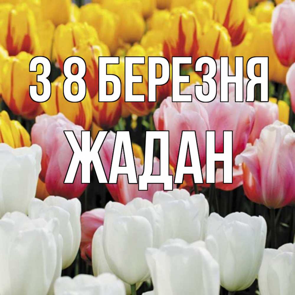 Открытка на каждый день з підписом, Жадан З 8 БЕРЕЗНЯ разноцветные цветы Прикольна листівка з побажанням онлайн скачати безкоштовно 