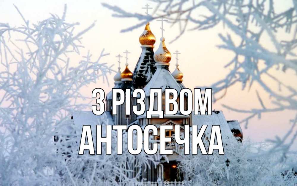 Открытка на каждый день з підписом, Антосечка З Різдвом рождество, золотые купала 1 Прикольна листівка з побажанням онлайн скачати безкоштовно 